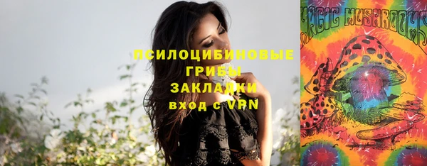 эйфоретик Алексин