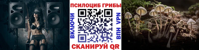 цена наркотик Аргун Галлюциногенные грибы GOLDEN TEACHER